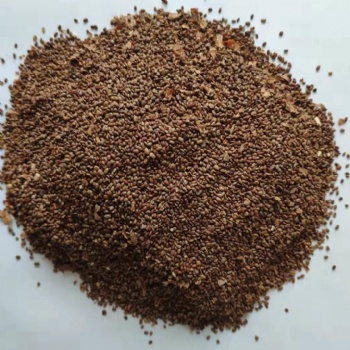 Kiwi Seed Extract